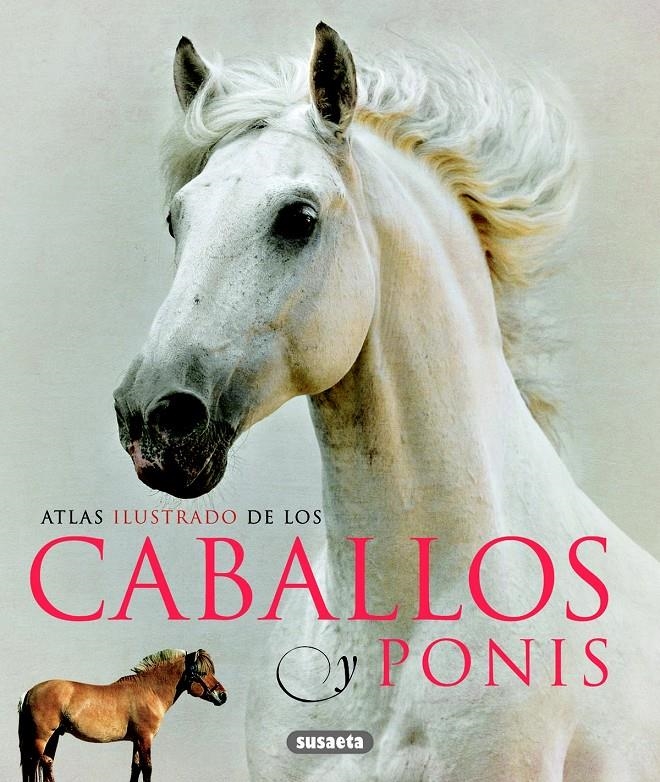 ATLAS ILUSTRADO DE LOS CABALLOS Y PONIS | 9788467713053 | VV.AA.