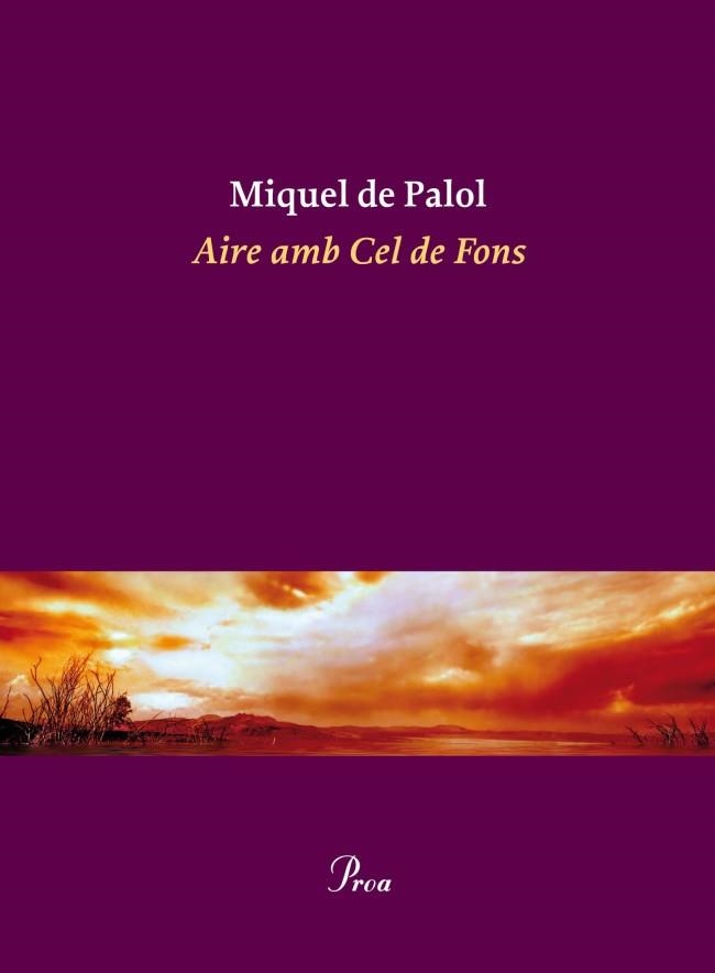 AIRE AMB CEL DE FONS | 9788475882932 | PALOL, MIQUEL DE