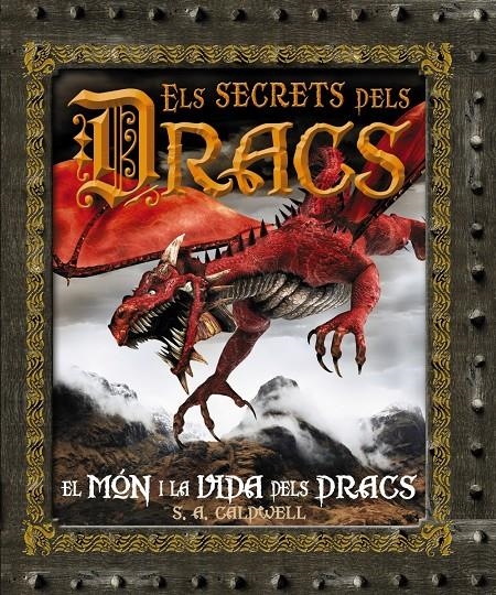 ELS SECRETS DELS DRACS | 9788480169967 | CALDWELL, S.A.