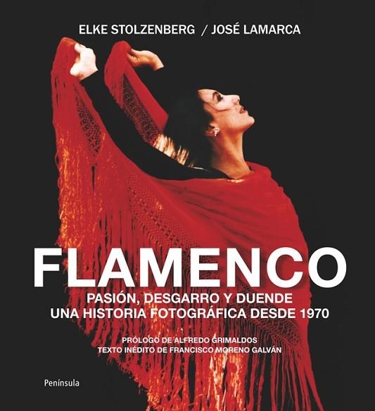 FLAMENCO | 9788499421636 | STOLZENBERG, ELKE / LAMARCA, JOSE