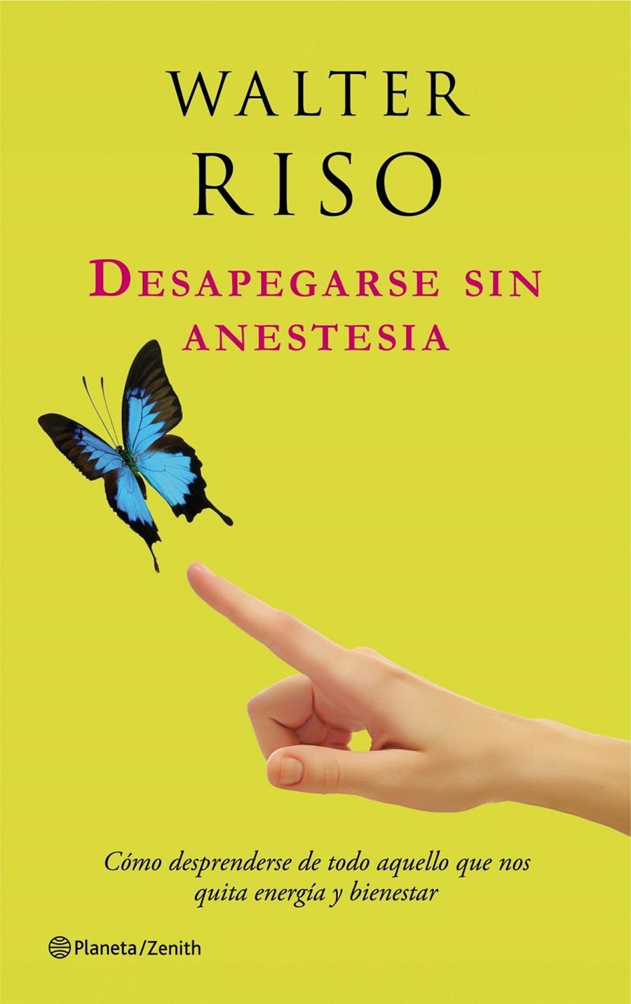 DESAPEGARSE SIN ANESTESIA | 9788408037583 | RISO, WALTER