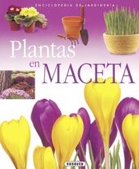 PLANTAS EN MACETA | 9788430567584 | VVAA