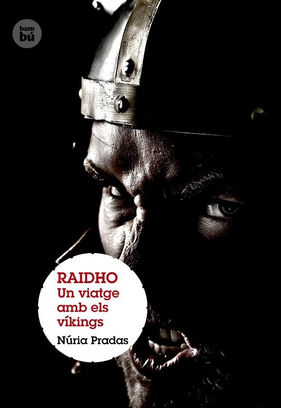 RAIDHO UN VIATGE AMB ELS VIKINGS | 9788483431399 | NURIA PRADAS