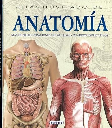 ATLAS ILUSTRADO DE ANATOMIA | 9788430534784 | AAVV