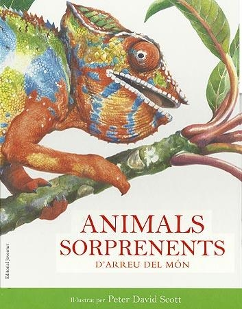 ANIMALS SORPRENENTS D´ARREU DEL MON | 9788426138712 | DAVID SCOTT, PETER