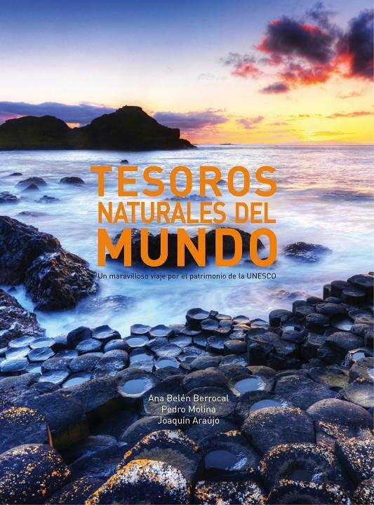 TESOROS NATURALES DEL MUNDO | 9788497859868 | MOLINA, PEDRO / BERROCAL, A.B.