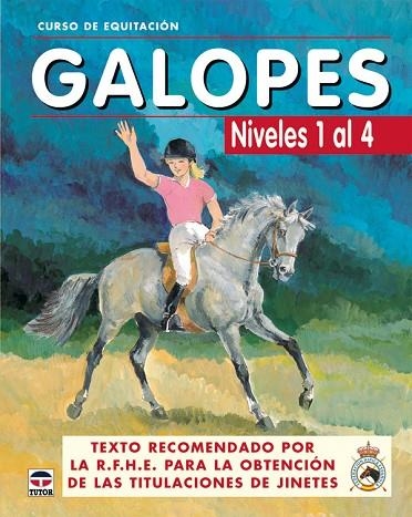 GALOPES (NIVELES 1 AL 4) | 9788479025618 | VVAA