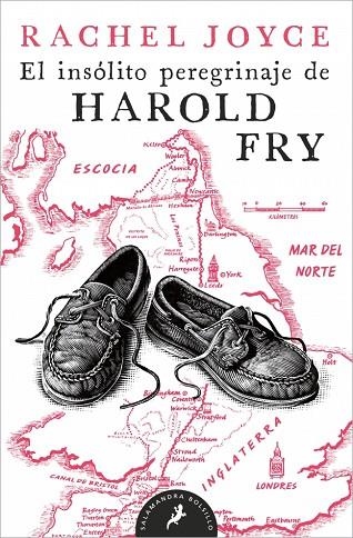 EL INSOLITO PEREGRINAJE DE HAROLD FRY | 9788498385229 | Rachel Joyce