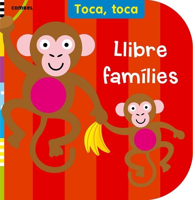 LLIBRE FAMILIES | 9788498258721 | VV.AA.