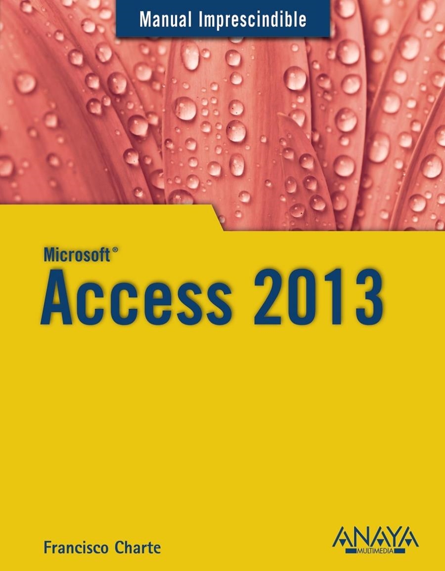 ACCESS 2013 | 9788441534490 | CHARTE, FRANCISCO