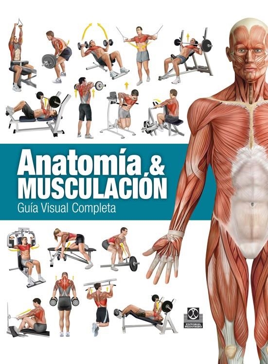 ANATOMIA & MUSCULACION GUIA VISUAL COMPLETA | 9788499104911 | CANOVAS LINARES, RICARDO