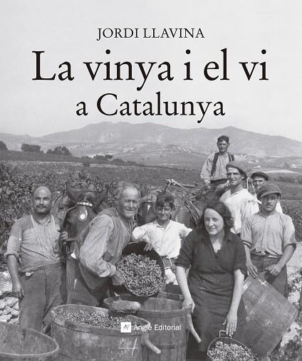 VINYA I EL VI A CATALUNYA, LA | 9788416139187 | JORDI LLAVINA