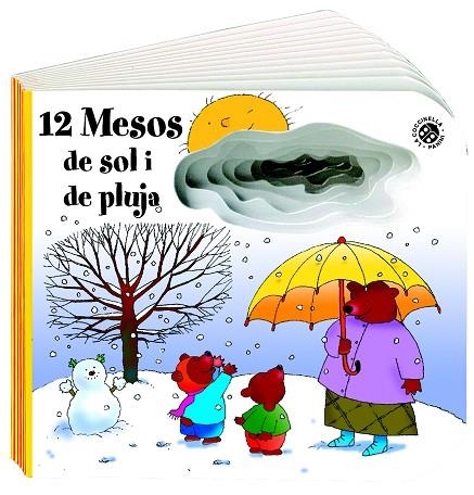 12 MESOS DE SOL I PLUJA | 9788490249154 | VVAA