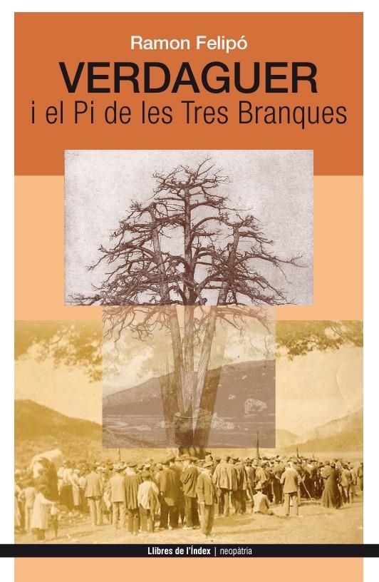 VERDAGUER I EL PI DE LES TRES BRANQUES | 9788494288920 | FELIPO ORIOL, RAMON