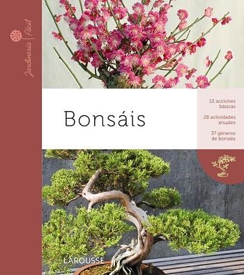 BONSAIS | 9788415411369 | SAMSON, ISABELLE