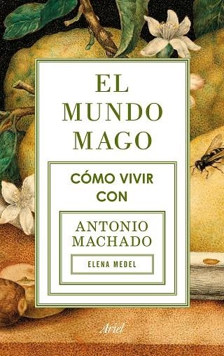 EL MUNDO MAGO | 9788434422353 | MEDEL, ELENA