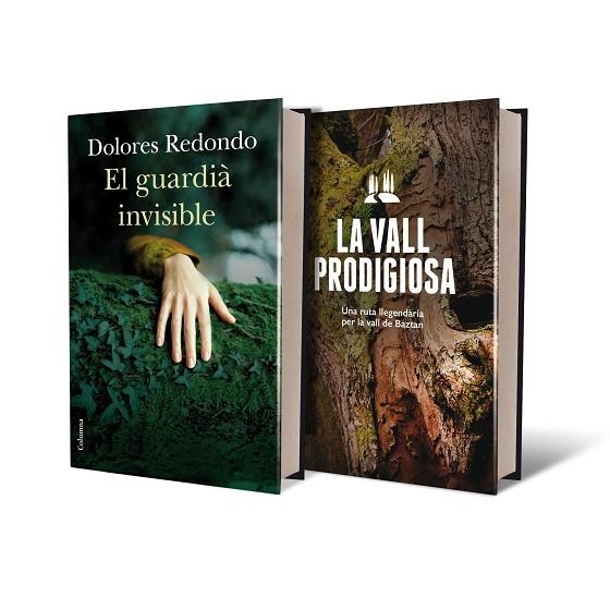 EL GUARDIA INVISIBLE + GUIA DE BAZTAN | 9788466419154 | DOLORES REDONDO