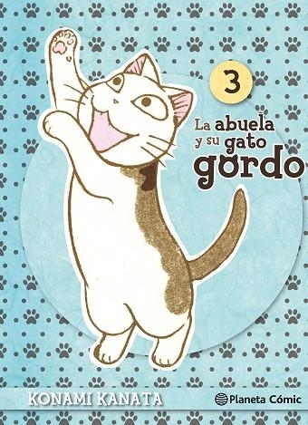 ABUELA Y SU GATO GORDO 3, LA | 9788416308101 | KONAMI KANATA