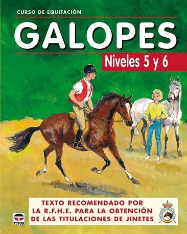 CURSO DE EQUITACION GALOPES NIVELES 5 Y 6 | 9788479025625 | VVAA