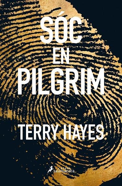 SOC EN PILGRIM | 9788416310159 | HAYES, TERRY