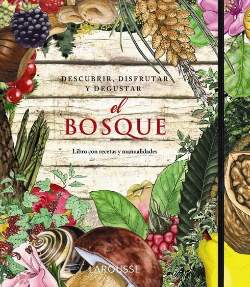 EL BOSQUE DESCUBRIR DISFRUTAR Y DEGUSTAR | 9788415411352 | VVAA