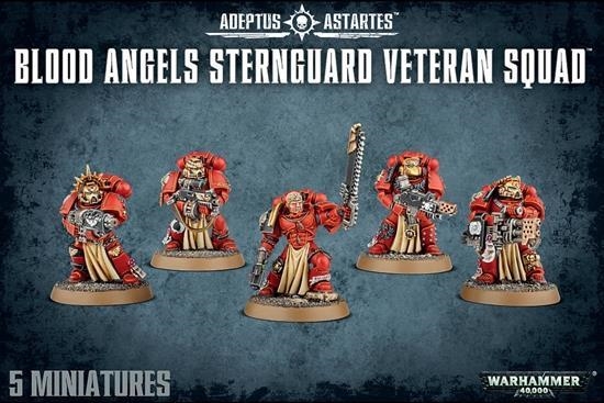 BLOOD ANGELS STERNGUARD VETERAN SQUAD | 5011921077908 | GAMES WORKSHOP