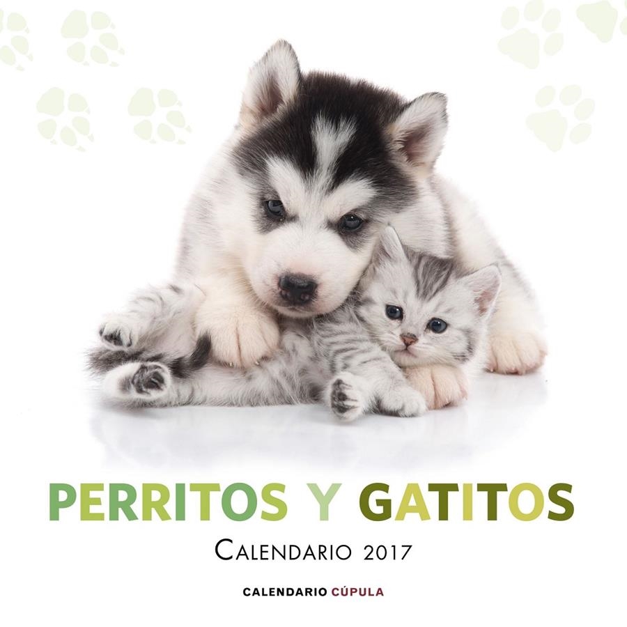 CALENDARIO PERRITOS Y GATITOS 2017 | 9788448022600 | VVAA