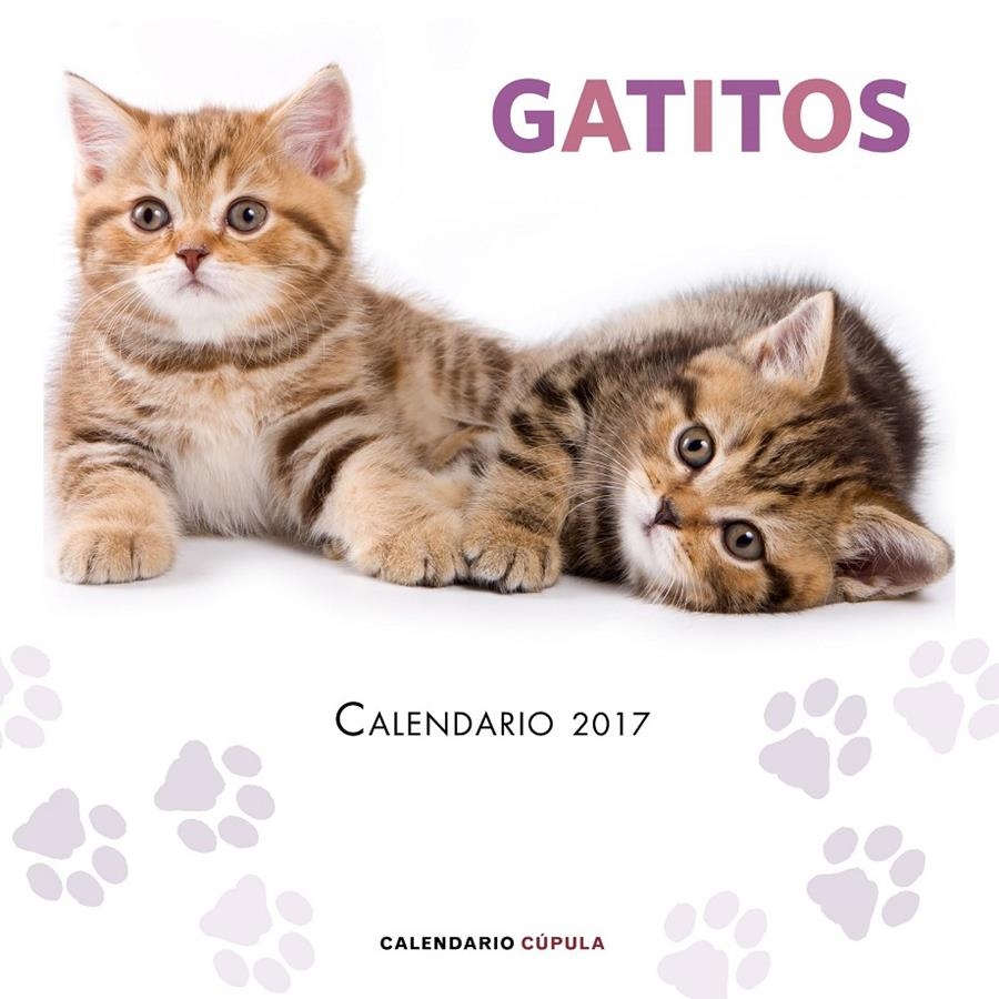 CALENDARIO GATITOS 2017 | 9788448022594 | VVAA