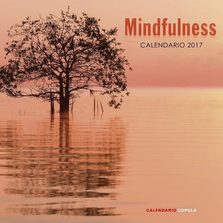 CALENDARIO MINDFULNESS 2017 | 9788448022662 | VVAA