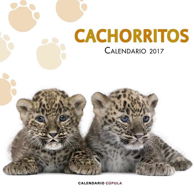 CALENDARIO CACHORRITOS 2017 | 9788448022617 | VVAA