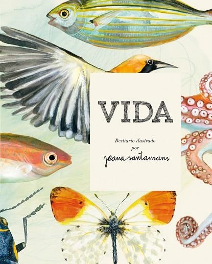 VIDA BESTIARIO ILUSTRADO POR JOANA SANTAMANS | 9788416670017 | JOANA SANTAMANS