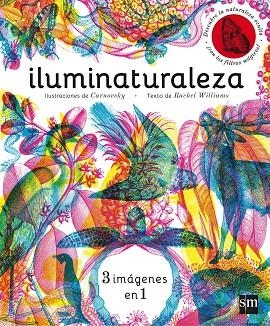 ILUMINATURALEZA | 9788467589955 | Rachel Williams