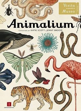 ANIMALIUM | 9788415979463 | KATIE SCOTT & JENNY BROOM