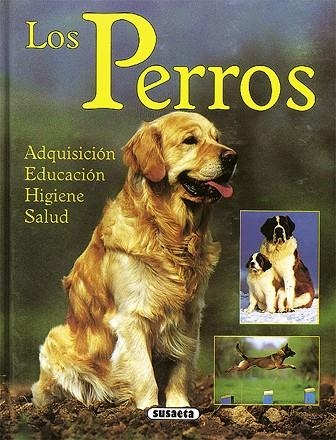 LOS PERROS | 9788430583553 | KLEIN, JEAN LOUIS