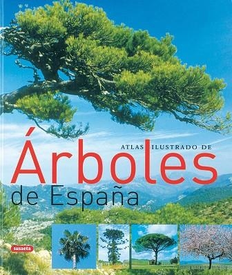 ATLAS ILUSTRADO DE ARBOLES DE ESPAÑA | 9788430558445 | VVAA