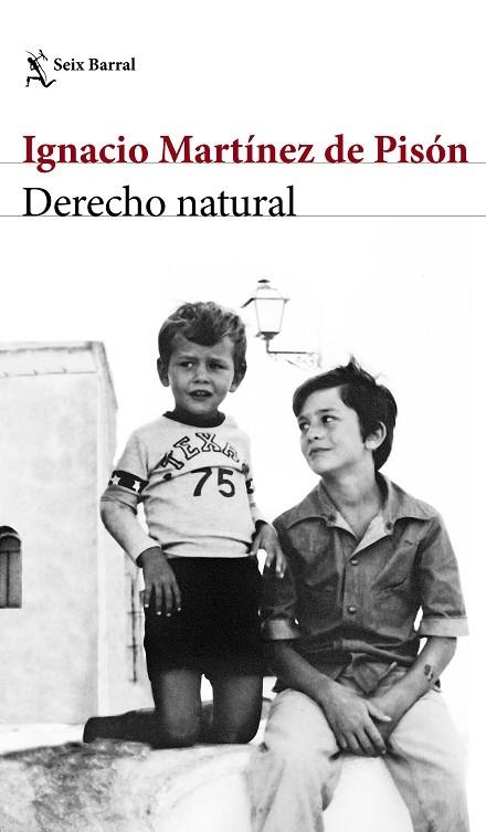 DERECHO NATURAL | 9788432232220 | IGNACIO MARTINEZ DE PISON