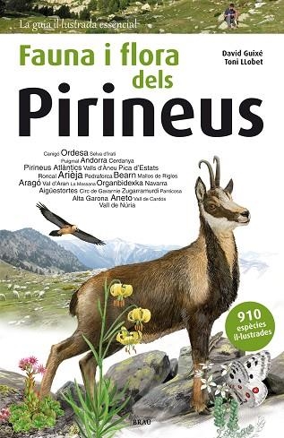 FAUNA I FLORA DELS PIRINEUS | 9788415885559 | DAVID GUIXE COROMINES