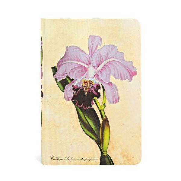 PAINTED BOTANICALS BRAZILIAN ORCHID MINI LINED | 9781439735725 | PAPERBLANKS