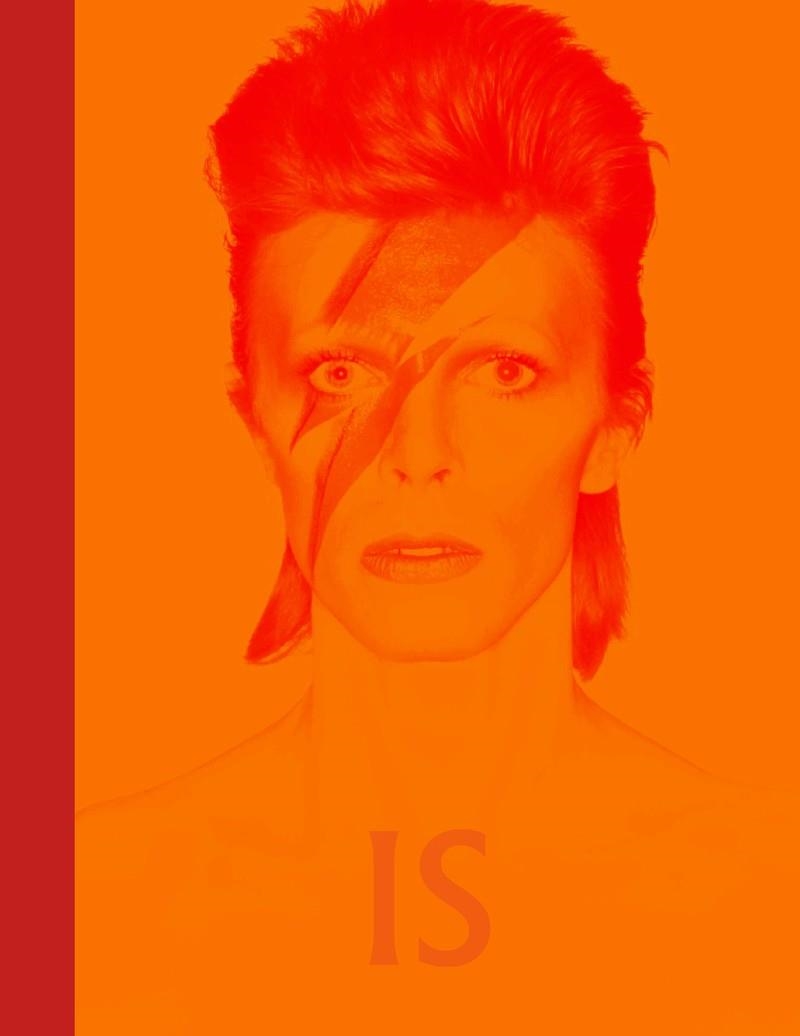 DAVID BOWIE IS INSIDE | 9788416665624 | VICTORIA BROACKES & GEOFFREY MARSH