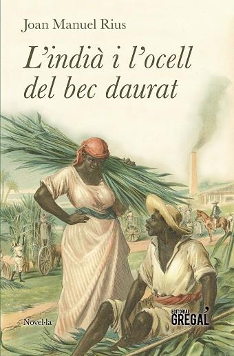 L'INDIA I L'OCELL DEL BEC DAURAT | 9788417082123 | JOAN MANUEL RIUS PANTALEONI