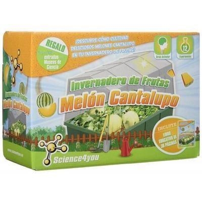 INVERNADERO DE FRUTAS MELON CANTALUPO | 5600849488356 | SCIENCE4YOU