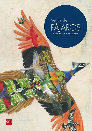 VERSOS DE PAJAROS | 9788467597721 | Carlos Reviejo