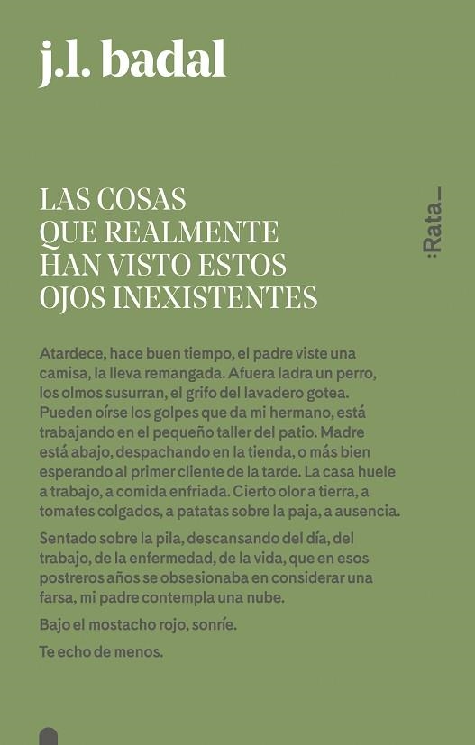 LAS COSAS QUE REALMENTE HAN VISTO ESTOS OJOS INEXISTENTES | 9788416738151 | JOSEP LLUIS BADAL