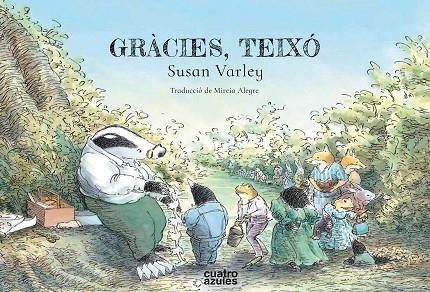 GRACIES TEIXO | 9788494724534 | SUSAN VARLEY