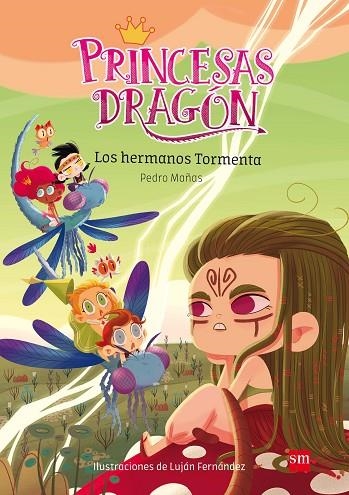 PRINCESAS DRAGON 05 LOS HERMANOS TORMENTA | 9788491073116 | Pedro Mañas Romero