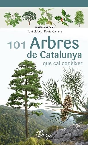 101 ARBRES DE CATALUNYA | 9788490346778 | TONI LLOBET & DAVID CARRERA