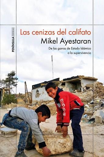 LAS CENIZAS DEL CALIFATO | 9788499427065 | MIKEL AYESTARAN