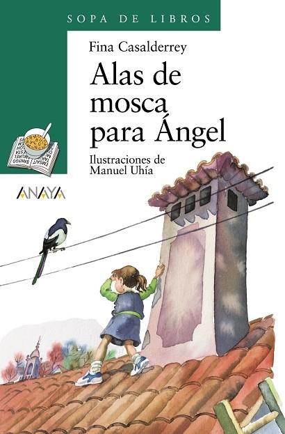 ALAS DE MOSCA PARA ANGEL | 9788420789873 | Fina Casalderrey