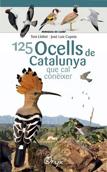 125 OCELLS DE CATALUNYA QUE CAL CONEIXER | 9788490346747 | TONI LLOBET & JOSE LUIS COPETE