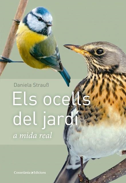 ELS OCELLS DEL JARDI | 9788490347461 | DANIELA STRAUB